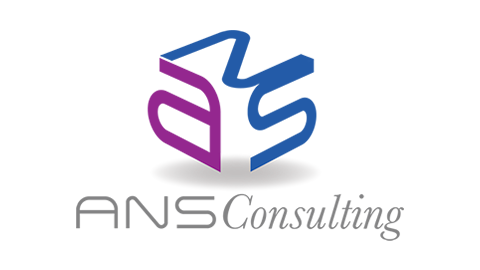 ANS Consulting